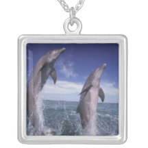Caribbean, Bottlenose dolphins Tursiops Custom Necklace