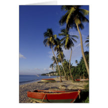 CARIBBEAN, Grenada, St. George, Boats on palm Card