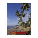 CARIBBEAN, Grenada, St. George, Boats on palm Post Card