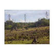 Caribbean Island Prehistoric Landscape Postcards