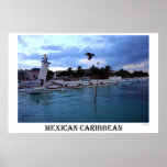 Caribbean Morning posters