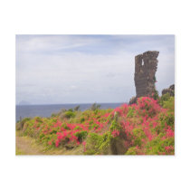 Caribbean Stone Ruins Nevis, West Indies Postcards