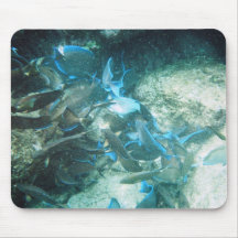 Caribbean Views 4 Mousepads