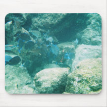Caribbean Views 5 Mouse Pads