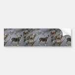 Caribou bulls in velvet bumper sticker