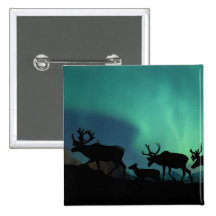 Caribou Button