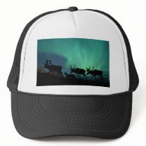 Caribou Trucker Hat
