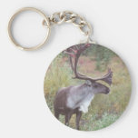 Caribou in Alaska Key Chains