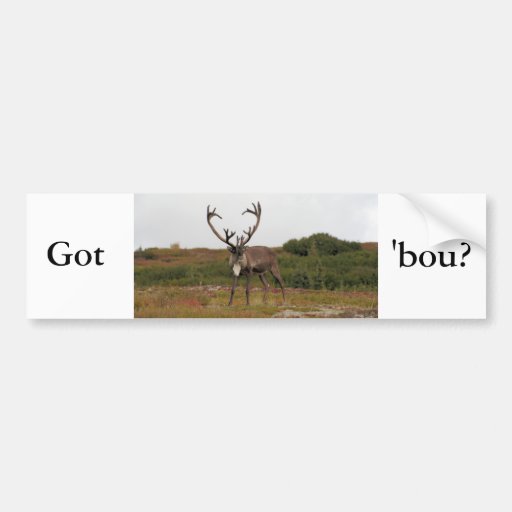 Caribou In Denali Bumper Stickers