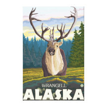 Caribou in the Wild - Wrangell, Alaska Canvas Print