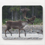 Caribou Mouse Pad
