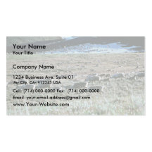 Caribou on Brooks Range, Arctic National Wildlife Business Card Templates