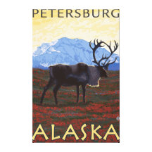 Caribou Scene - Petersburg, Alaska Stretched Canvas Prints