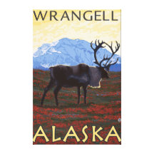 Caribou Scene - Wrangell, Alaska Stretched Canvas Print