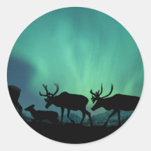 Caribou Stickers