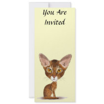 Caricature Abyssinian Announcement
