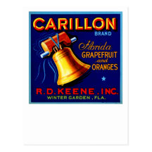 Carillon Florida Grapefruits Postcard