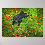 Carlin en parc posters