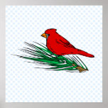 Carlina Cardinal Posters