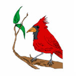 Carlita Cardinal Photo Cutout