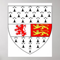 Carlow County Crest, Ireland Print