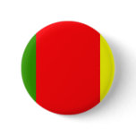 Carlow, Ireland flag Button