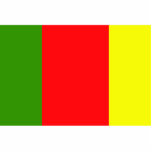 Carlow, Ireland flag Photo Sculpture
