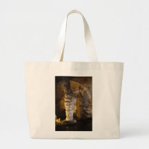 Carlsbad Caverns Bag
