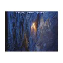 Carlsbad Caverns New Mexico Postcard