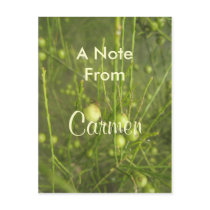 Carmen Postcard