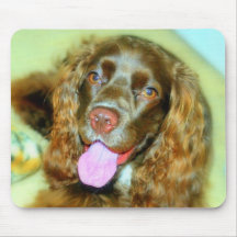 carmen_street_by_Sony350a Mouse Pads