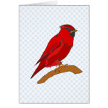 Carmine Cardinal