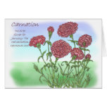 Carnation Cards