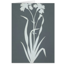 Carnation Greeting Cards