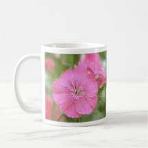 Carnation Pink Sweet Williams Mug