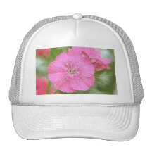 Carnation Pink Sweet Williams Trucker Hat