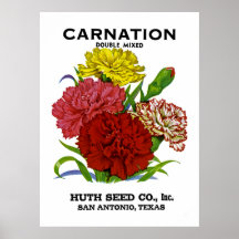 Carnation Vintage Seed Packet Posters