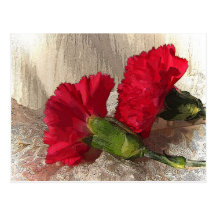 Carnations on brocade post cards