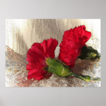 Carnations on Brocade Poster