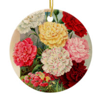 Carnations Seed Packet
