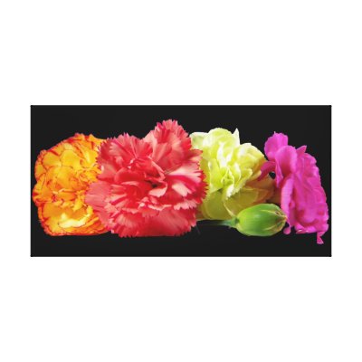 Carnations Wrapped Canvas Gallery Wrapped Canvas by superdumb