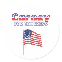 Carney for Congress Patriotic American Flag Design Stickers