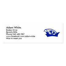 Carnival fool's cap business cards