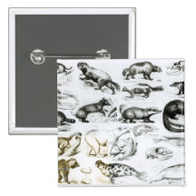 Carnivorous Animals Pinback Button