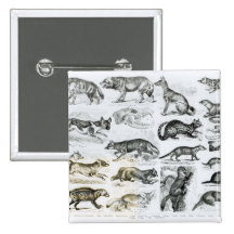 Carnivorous Animals Pinback Button