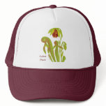 Carnivorous Plant Darlingtonia Hat