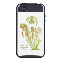 Carnivorous Plant of the Siskiyous