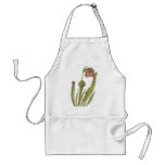 Carnivorous Plant - Sarracenia catesbaei Apron