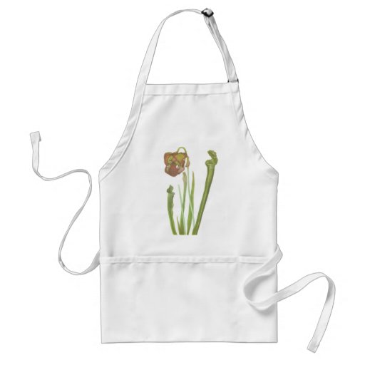 Carnivorous Plant - Sarracenia drummondii Aprons