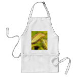 Carnivorous Plants Aprons